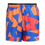 adidas Terrex Multi Light Erkek Şort Mavi S