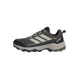 adidas TERREX SKYCHASER AX5 Spor Ayakkabı Düşük Bilekli (Futbol Dışı) Erkek