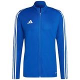 adidas Tıro23 L Tr Jkt Erkek Mavi Ceket