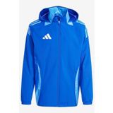 adidas Tıro24 C Awjkt Erkek Ceket ADIR7561