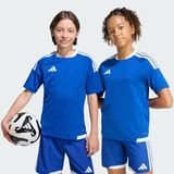 adidas TIRO26 C M JSYY Unisex Çocuk Kısa Kollu Forma/Tişört, team royal blue/white, 11-12 Yaş