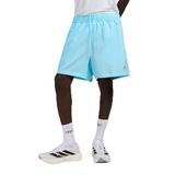 adidas Training Erkek Şort
