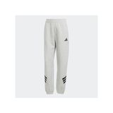 Adidas Training JE0155 Future Icons 3-Stripes Kadın Eşofman Altı