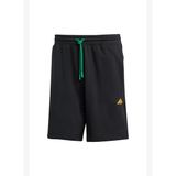 Adidas Training JV7963 Erkek Şortu