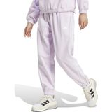 adidas W Fı Wtr Pt Kadın Mor Eşofman Altı Iw5242