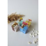 Adisia Organik Doğal Kokulu Soya Wax Krem Yesil Mavi Sarı Renk 4'lü Hediyelik Mum - 4 Adet