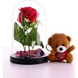 Adm Store Sevgiliye Eşe Sürpriz Hediye Fanusta Kırmızı Gül Ve Mini Ayıcık Set Sevgiliye Hediye
