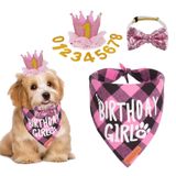 ADOGGYGO Köpek Doğum Günü Partisi Malzemeleri, Çok Beden Sunulur, Doğum Günü Kız Köpek Bandana, Küçük Köpekler Evcil Hayvanlar için Numaralı Köpek Doğum Günü Şapkası Taç (Small, Pembe)