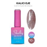 Adornn Shelby 10 Ml. A288 Disco & Kedi Gözü Kalıcı Oje