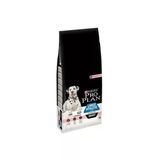 Adult Large Sensıtıve Somon Etli Yetişkin Kuru Köpek Maması