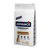 Advance 12 kg Hindi ve Pirinçli Alman Kurdu Yetişkin Köpek Maması