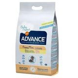 Advance 3 kg Puppy Mini Tavuklu Küçük Irk Yavru Köpek Maması