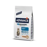 Advance Cat Adult Chicken Rice 15 KG Kedi Maması