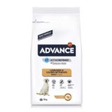 Advance Dog Labrador Golden Retriever Tavuklu Yetişkin 12 kg Köpek Maması