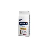 Advance sensitive köpek 12kg kuzu etli ve pirinçli hassas yetişkin köpek maması lamb rice