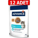 Advance Tavuklu Yavru Kedi Yaş Mama 85GR 12ADET Advance Kitten Chicken Tavuk
