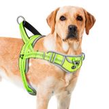 ADVENTUREMORE Çekme Yok QR Kodlu Büyük Köpek Koşum Köpek Etiketi, Ayarlanabilir Reflektörlü Nefes Alabilir Köpek Yeleği Kaçış Korumalı Köpek Koşum Kolay Kontrollü Ön Klips Kolu Eğitim Yürüyüş için XL