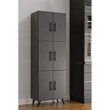 Ae-3010 Nehir Antrasit Gri Çok Amaçlı Mutfak Dolabı & Banyo Dolab
