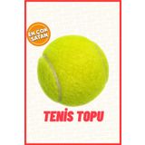 AE Market 1 Adet Sarı Tenis Topu Antrenman Tenis Topu - Tennis Ball Tenis Topu