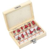 AEE® 12 Adet 6mm Shank Ahşap Freze Uç Seti | Karbür Kesici Router Bit Seti | Düz, Köşe, Boncuk, Kanal, Pah Uçları | MDF, Masif Ahşap, Sunta Uyumlu | Profesyonel Doğrama & Marangozluk Seti