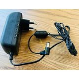Aeg Cx-7 Model: ADS-13G-22 25013 Gpg Süpürge Uyumlu Muadil Adaptörü 25V Uyumlu 25.2V
