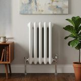 Aeon 2 Kolonlu Çelik Beyaz Radyatör - 60 x 24 (5 Dilim)