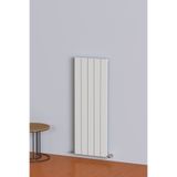 Aeon Radyatör Hestia Alüminyum Radyatör Dikey 120 X 45 Kırık Beyaz 5 Dilim