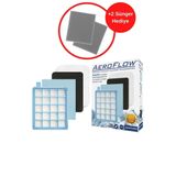 AeroFlow Philips Fc8058/01, Fc8477/69, Fc8479/01 Uyumlu Hepa Filtre Seti + 2 Adet Sünger
