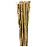 Aesco 10 Adet Bambu Destek Çubuğu, 8-10 mm Kalınlığında, 90 cm Uzunluk