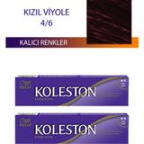 Aesco 2 Adet Single Tüp Boya Saç Boyası Kızıl Viyole 4/6