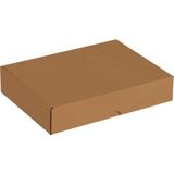 Aesco 26X19X5-25 Adet Kilitli E Ticaret Karton Kargo Kutusu - 41 Delft Blue