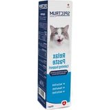 Aesco 30 Gram Sakinleştirici Malt Paste, Kedi Için