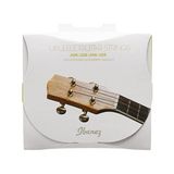 Aesco 4 String Sopran/konser Ukulele Için Tel Seti - .025/.032/.036/.028 Siyah Naylon (Iuks4)