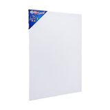 Aesco 50X70 Tuval BR-338
