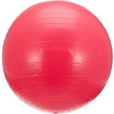 Aesco 55 cm Pompalı Pilates Topu - Dayanıklı Pvc Malzeme