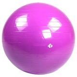 Aesco 65 cm Pilates Topu - Dura-Strong Mor