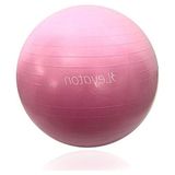Aesco 75 cm Boy Pilates Topu, Pompa Hediyeli ve Renkli Seçenekler