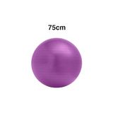 Aesco 75 cm Pilates Topu, Tek Ebat, Pılatestopuc, Mor