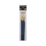 Aesco Akrilik ve Sulu Boya Fırça Seti - 6'lı Paket - 41 Delft Blue