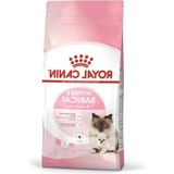Aesco Anne ve Yavru Kedi Maması, 4 kg Besleyici Içerik