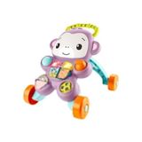 Aesco Fisher-Price Benimle Öğren Tatlı Maymun Yürüteç ve Eğitici Oyuncak, JGW94