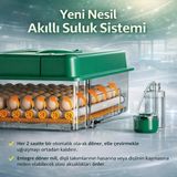 Aesco FX64 Model Tam Otomatik Kuluçka Makinesi Yeni Nesil Havalandırmalı Sulu Sistem ( Lisinya )