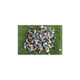 Aesco Garden Moda Dere Çakıl Taşı 4 kg 15-30 mm Mıcır Dere Taşı Dolomit Taş Teraryum Akvaryum Taşı Peyzaj Süs Taşı