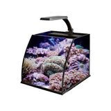Aesco Haqos Belly Box 25 Ledli Sumplu Nano Akvaryum 26X26X24CM - Ahşap - Bej - Siyah