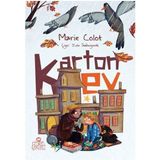 Aesco Karton Ev