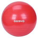 Aesco Kırmızı Pilates Topu, 55 cm