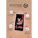 Aesco Kuru Kedi Maması, Kuzu Etli, 15 Kg, Doyurucu ve Sağlıklı