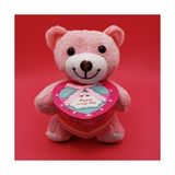 Aesco Kutulu Pembe Ayıcık