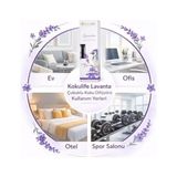 Aesco Lavanta Kokulu Reed Diffuser Oda Kokusu 50 Ml, Uzun Süre Kalıcı Ortam Kokulandırıcı, Çubuklu Oda Parfümü, Ev Ofis Banyo Dekoratif Koku Çözümü