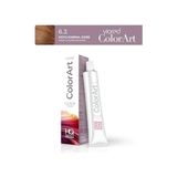 Aesco Profesyonel Tüp Saç Boyası 60 ml 6.3 Koyu Kumral Dore